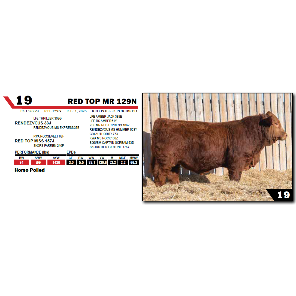 RED TOP MR 129N 