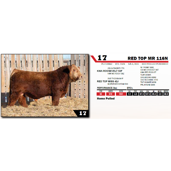 RED TOP MR 116N 