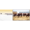 Image 1 : GROUP OF 3 RED COMMERCIAL HEIFERS