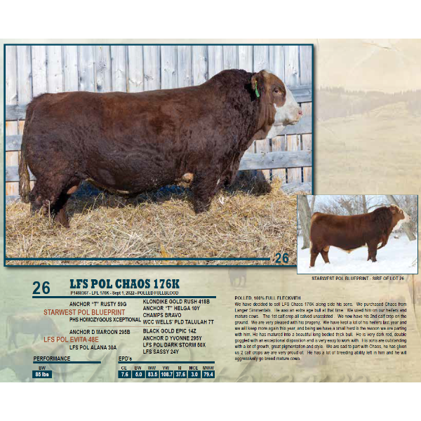 LFS POL CHAOS 176K 