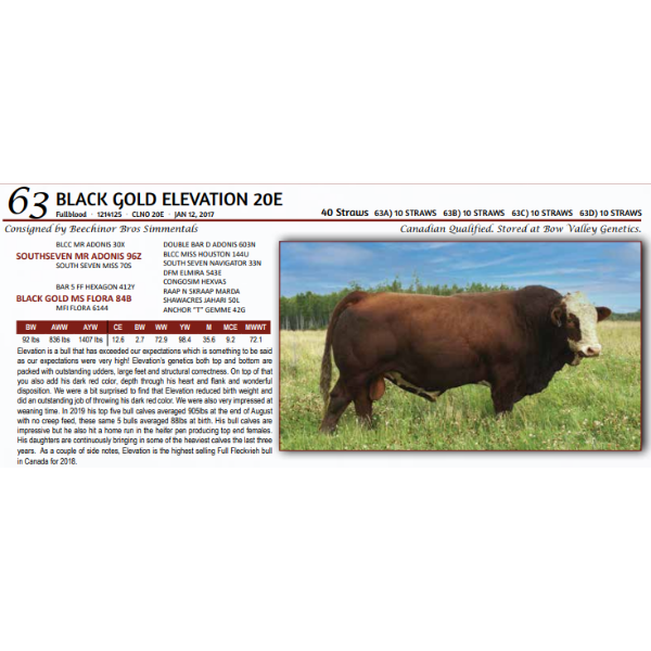 BLACK GOLD ELEVATION 20E -  10 STRAWS 