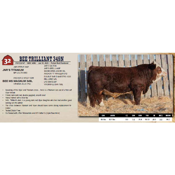 BEE TRILLIANT 349N