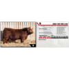 Image 1 : RED TOP MR 34N 