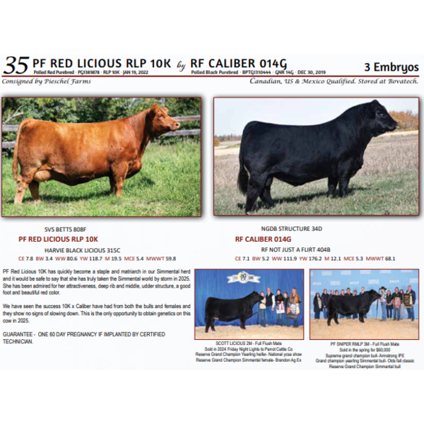 PF RED LICIOUS RLP 10K by RF CALIBER 014G - 3 Embryos 