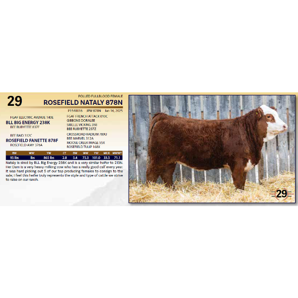 ROSEFIELD NATALY 878N