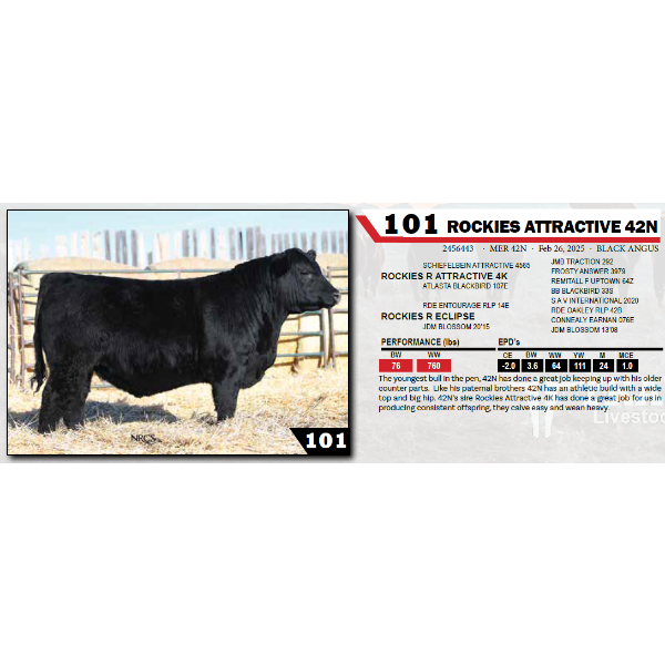 ROCKIES ATTRACTIVE 42N