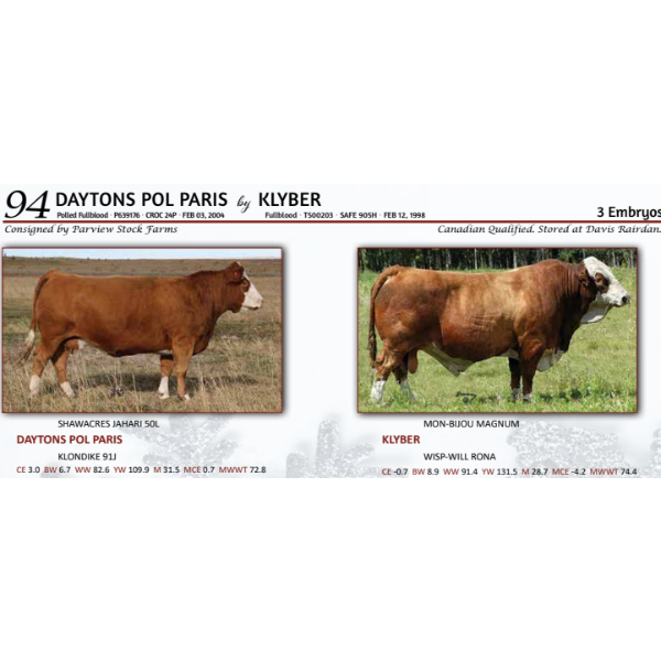 DAYTONS POL PARIS by KLYBER - 3 Embryos 