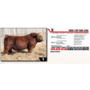 Image 1 : RED TOP MR 58N 