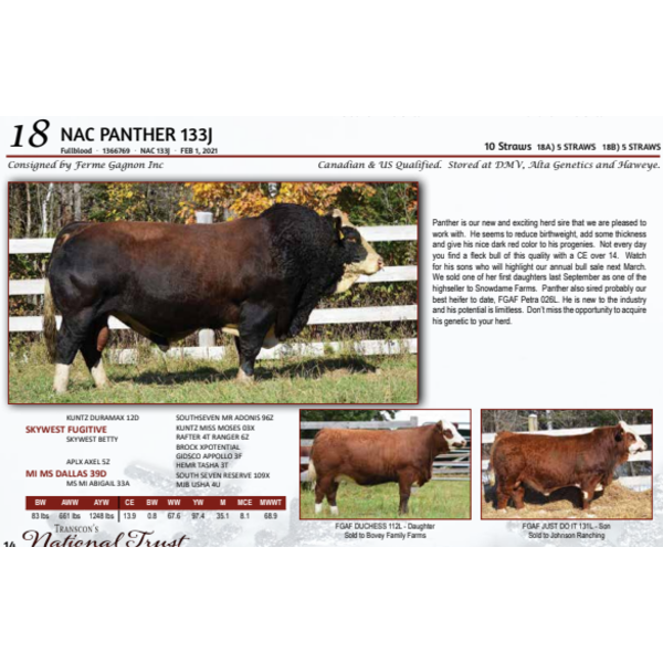 NAC PANTHER 133J - 5 STRAWS 