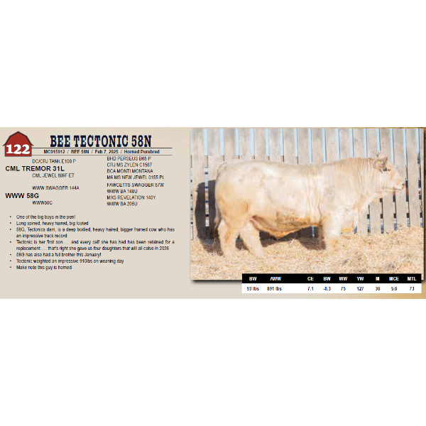 BEE TECTONIC 58N
