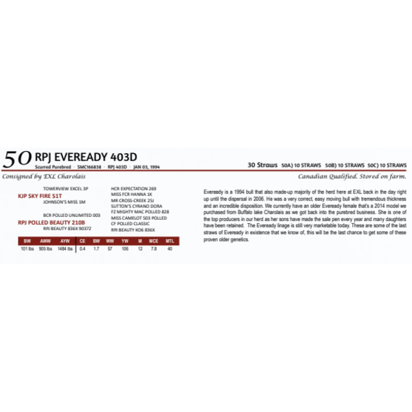 RPJ EVEREADY 403D -  10 STRAWS 