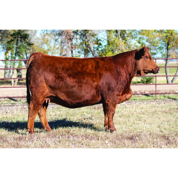 Coulee Crossing Cattle Co.