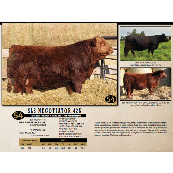 SKYLINE SIMMENTALS