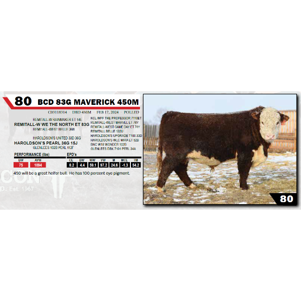 BCD 83G MAVERICK 450M