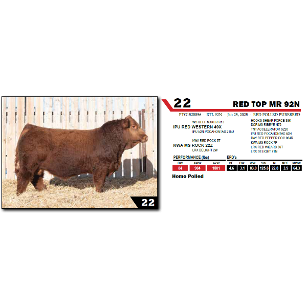 RED TOP MR 92N 