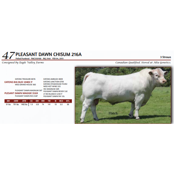 PLEASANT DAWN CHISUM 216A - 3 STRAWS 