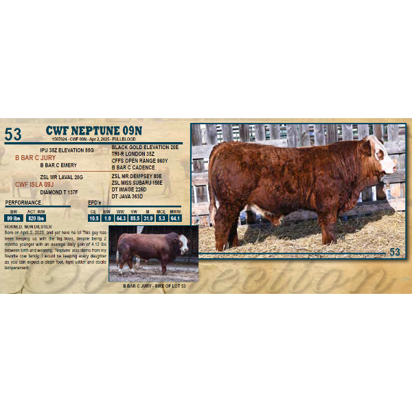 CWF NEPTUNE 09N