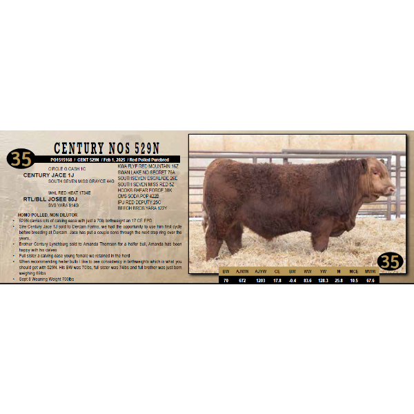Century Simmentals