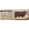 Image 1 : Century Simmentals