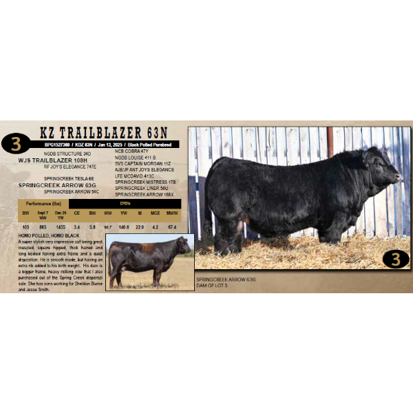 KZ Simmentals