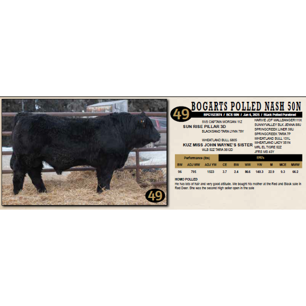 Diamond B Simmentals