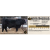 Image 1 : Diamond B Simmentals