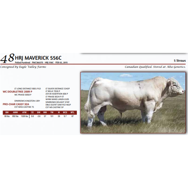 HRJ MAVERICK 556C - 5 STRAWS 