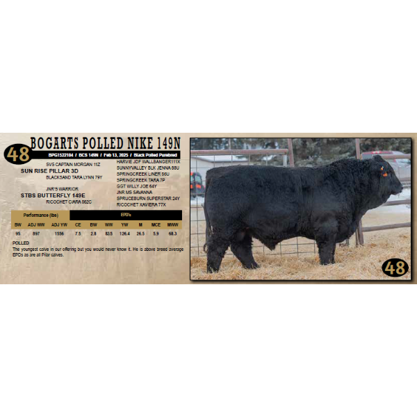 Diamond B Simmentals