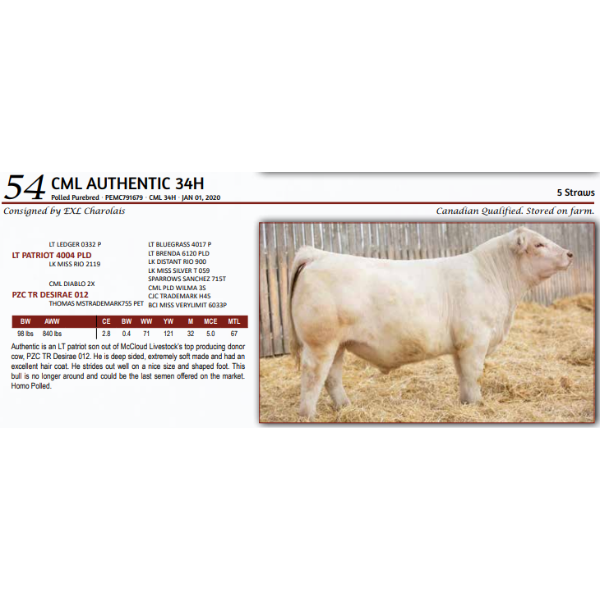  CML AUTHENTIC 34H - 5 Straws 