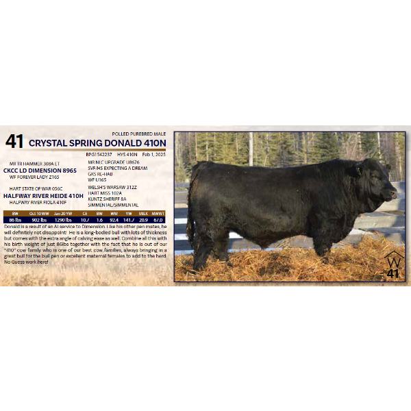 CRYSTAL SPRING DONALD 410N