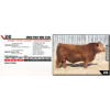 Image 1 : RED TOP MR 72N 