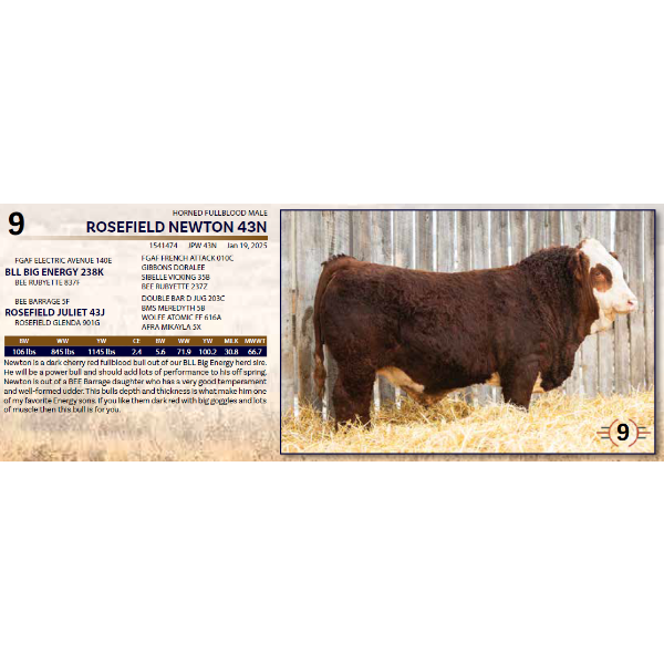 ROSEFIELD NEWTON 43N