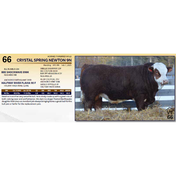 CRYSTAL SPRING NEWTON 9N