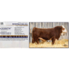 Image 1 : ROSEFIELD NED 45N