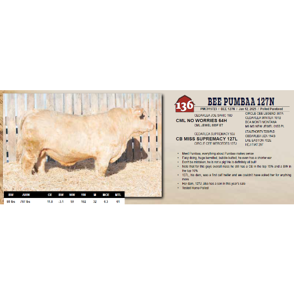 BEE PUMBAA 127N
