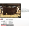Image 1 : OH KAY NILES 114N