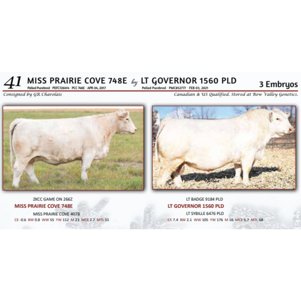 MISS PRAIRIE COVE 748E by  LT GOVERNOR 1560 PLD - 3 Embryos 