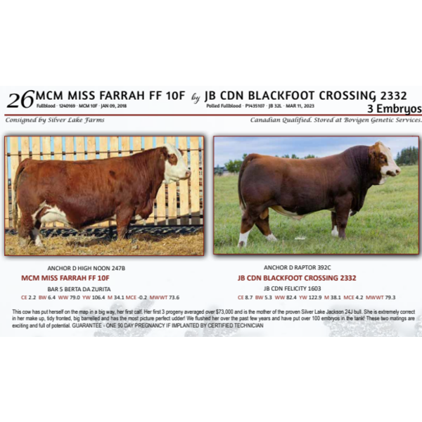 MCM MISS FARRAH FF 10F byJB CDN BLACKFOOT CROSSING 2332   - 3 Embryos 