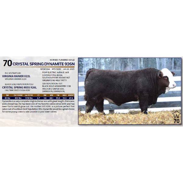 CRYSTAL SPRING DYNAMITE 926N