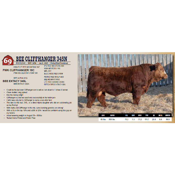 BEE CLIFFHANGER 345N