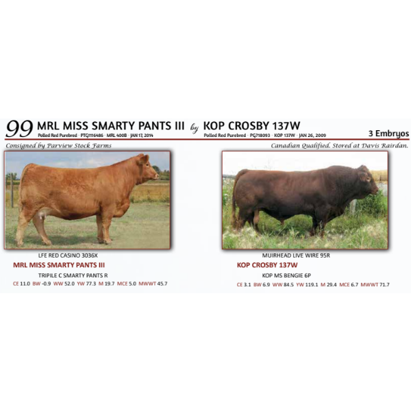MRL MISS SMARTY PANTS III by KOP CROSBY 137W - 3 Embryos 