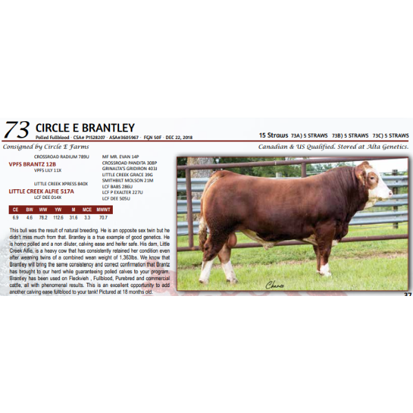 CIRCLE E BRANTLEY - 5 STRAWS 