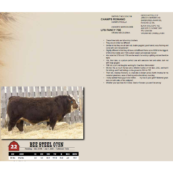 BEE STEEL 075N 