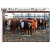 Image 1 : Commercial Heifers consigned by Tom & Terri Jamieson & Family