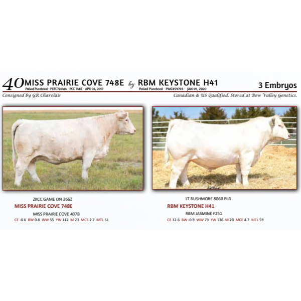 MISS PRAIRIE COVE 748E by RBM KEYSTONE H41 - 3 Embryos 