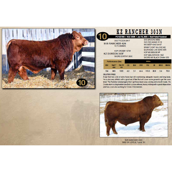 KZ Simmentals