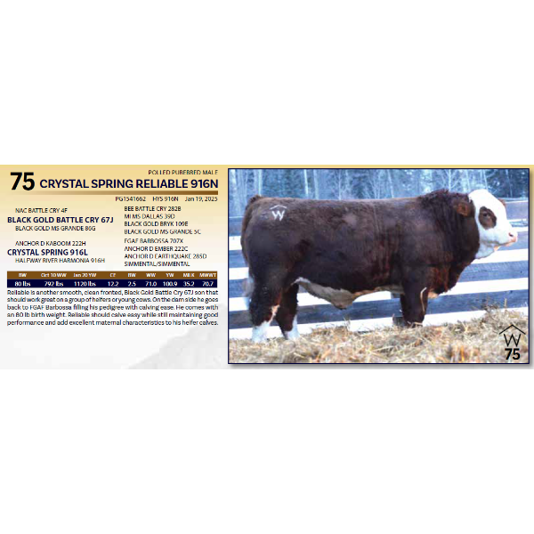 CRYSTAL SPRING RELIABLE 916N