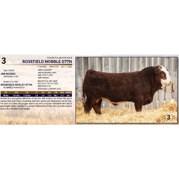 ROSEFIELD NOBBLE 077N