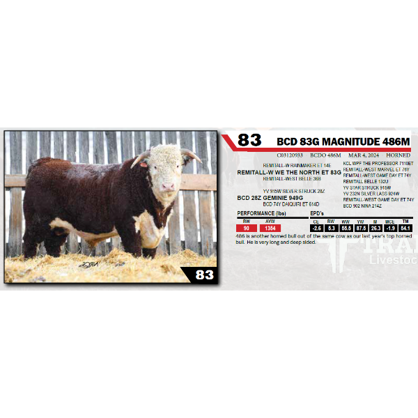 BCD 83G MAGNITUDE 486M