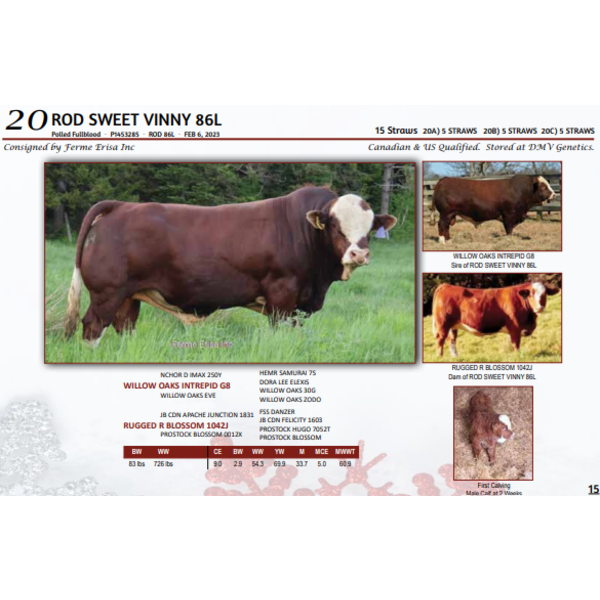 ROD SWEET VINNY 86L - 5 STRAWS 